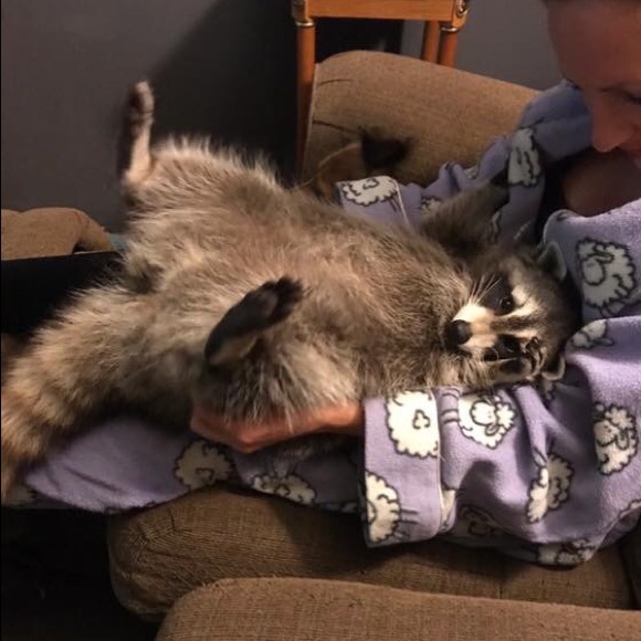 ❤️Tierney Lloyd❤️ - Picture 8 of 8